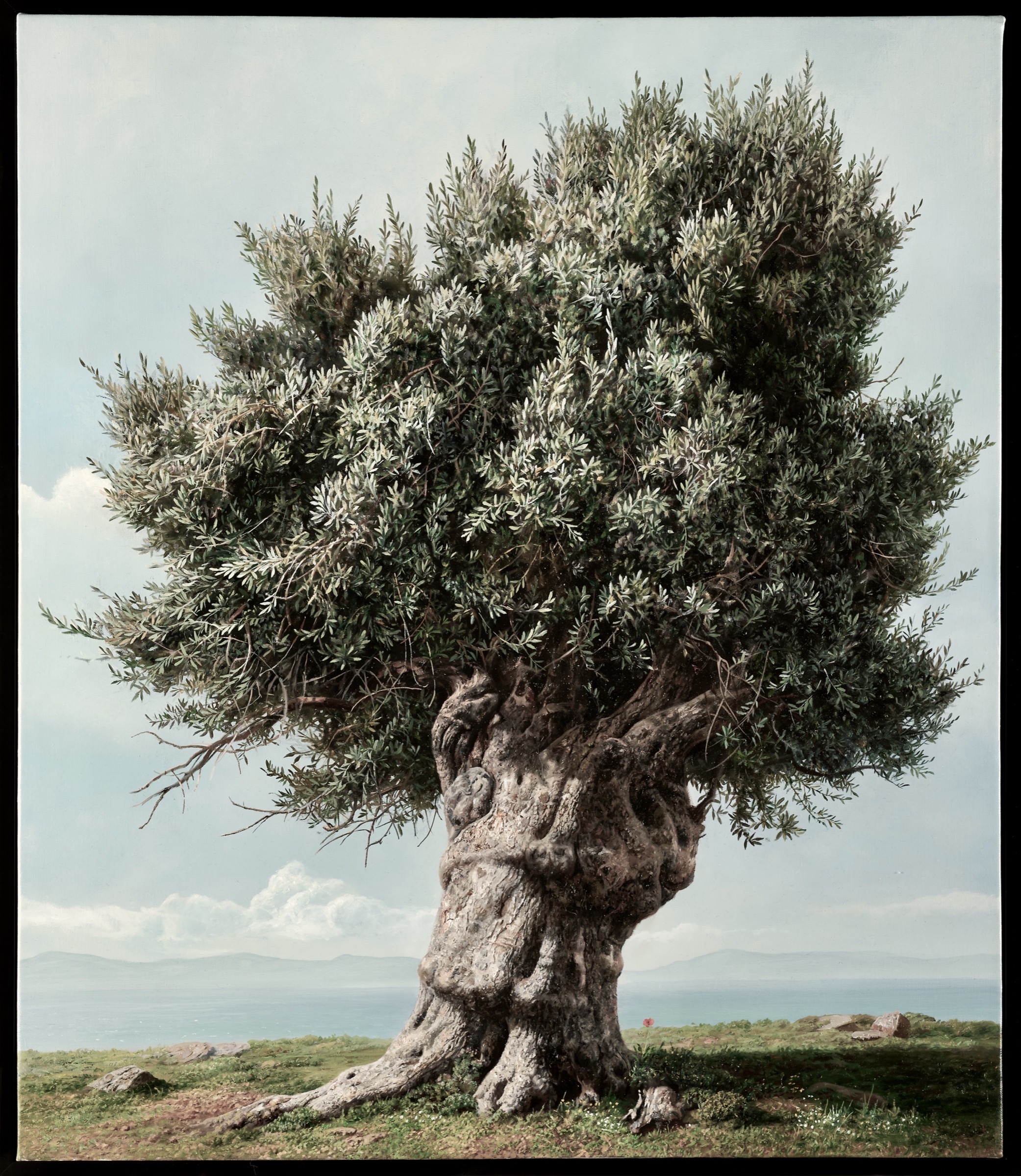 Eleni — Oil painting of an olive tree by Elidon