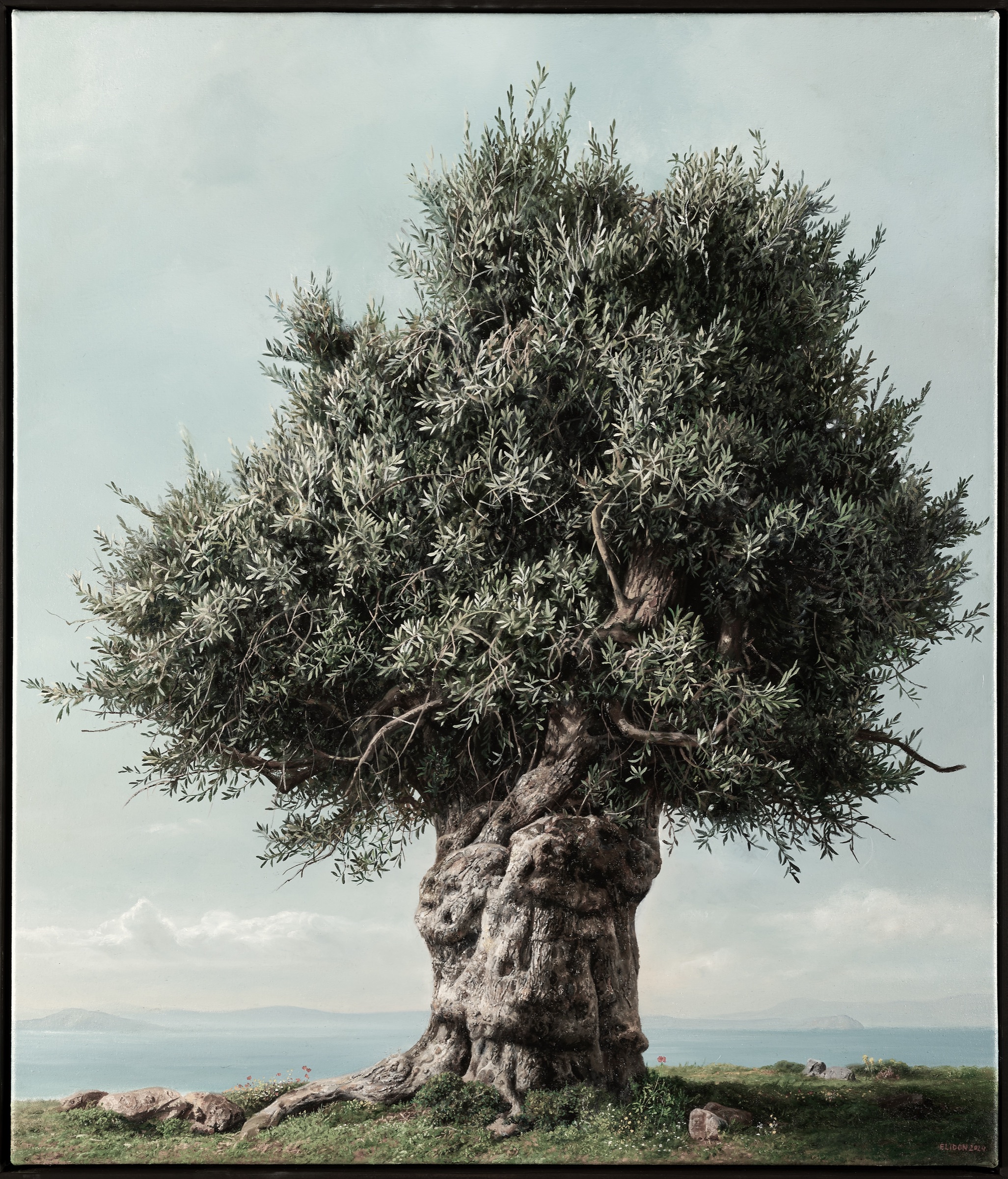 Stavros — Oil painting of an olive tree by Elidon