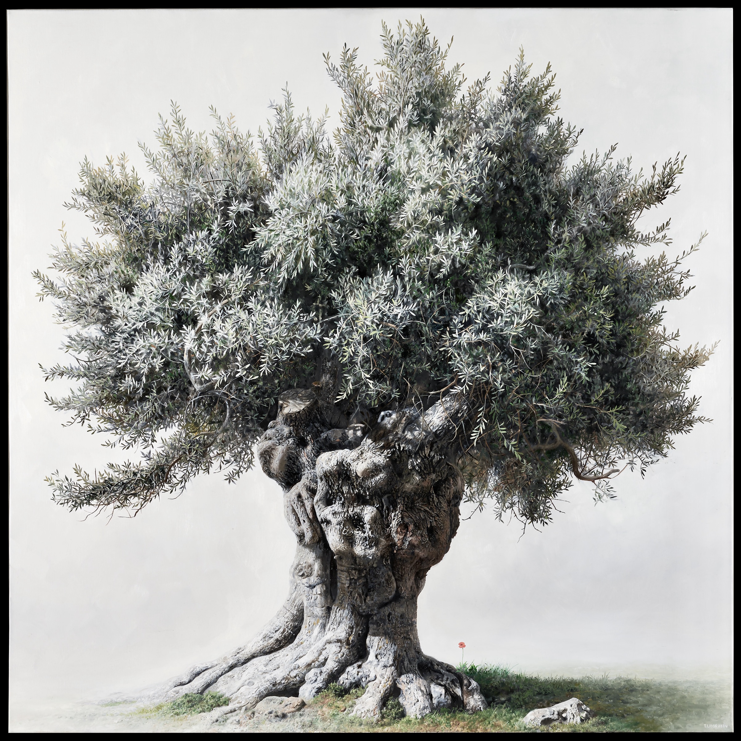 Vigil — Oil painting of an olive tree by Elidon