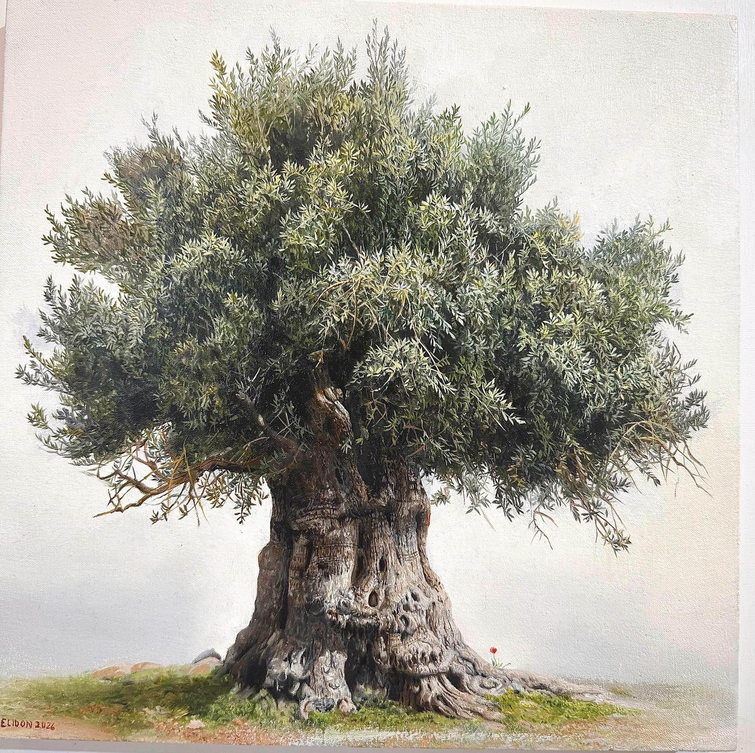 Beneath a Wide Sky — Oil painting of an olive tree by Elidon